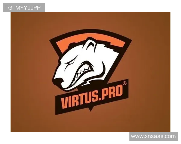 深入分析TES战队在DOTA2S15赛季中的包夹策略与战术执行