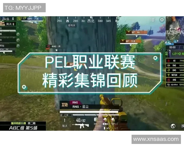 和平精英赛事中RNG速度引发热议玩家对战术选择产生分歧 和平精英赛事中RNG速度引发热议玩家对战术选择产生分歧