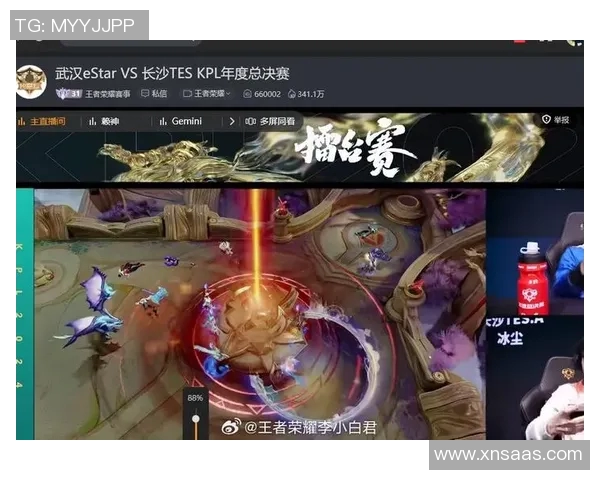 王者荣耀TES团队协作引发热议争议背后的深层次原因分析